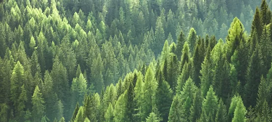 Modern Waste Recycling Plant  