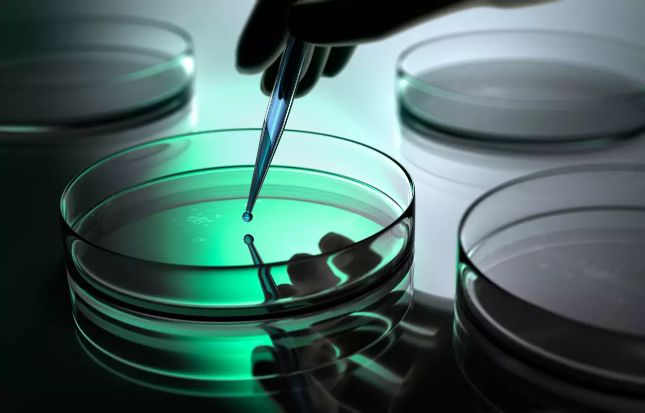 Si Encapsulants or gels