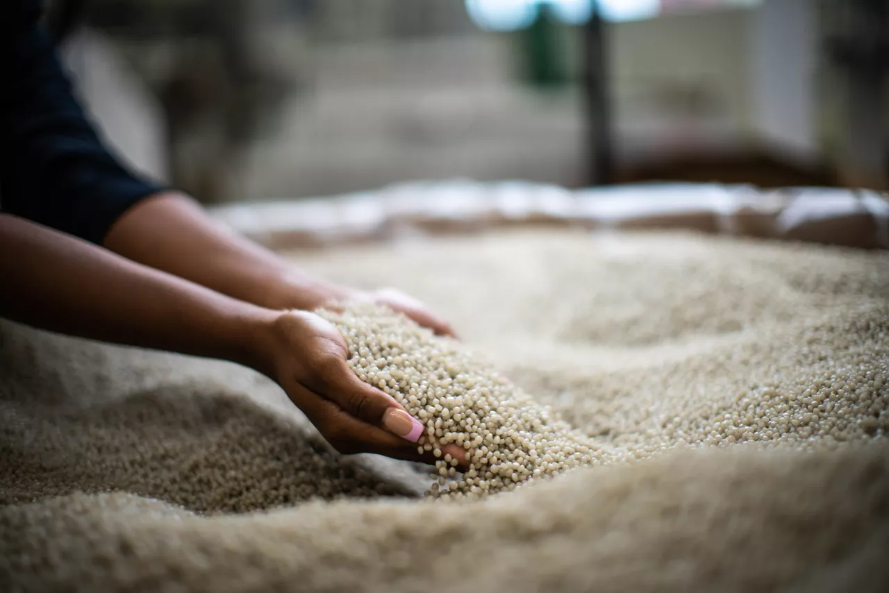 包装工作室 Freeport 的 Revoloop 球囊照片。