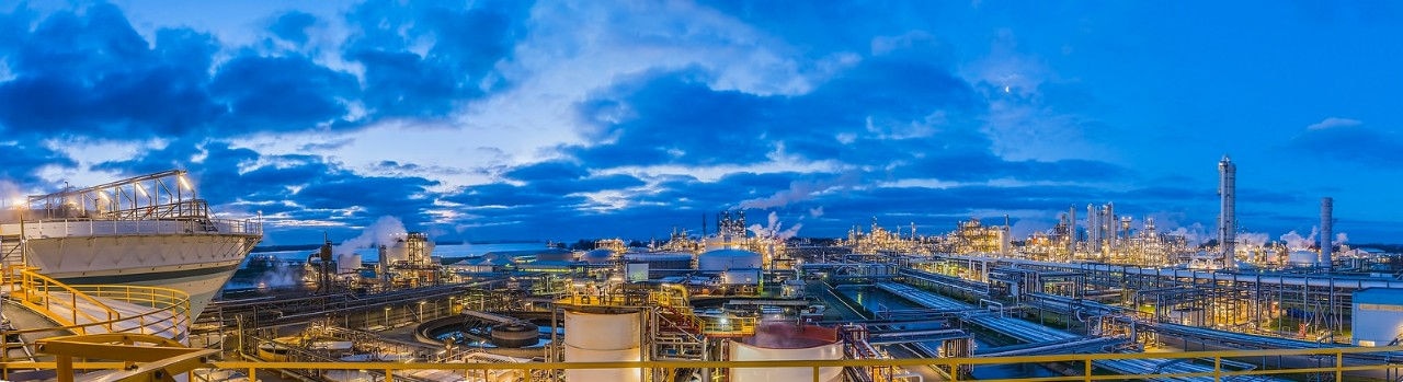 Natur, Kinder, Hohes Moor, Moor