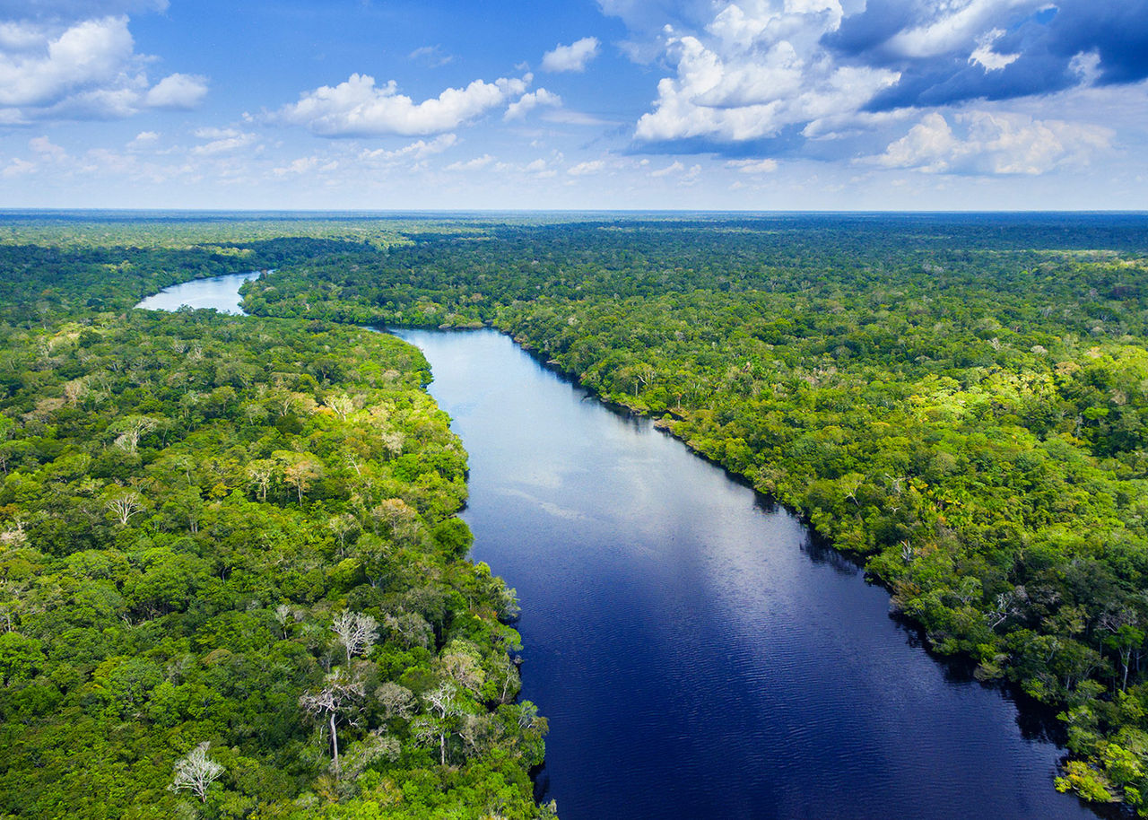 aerial view of a river