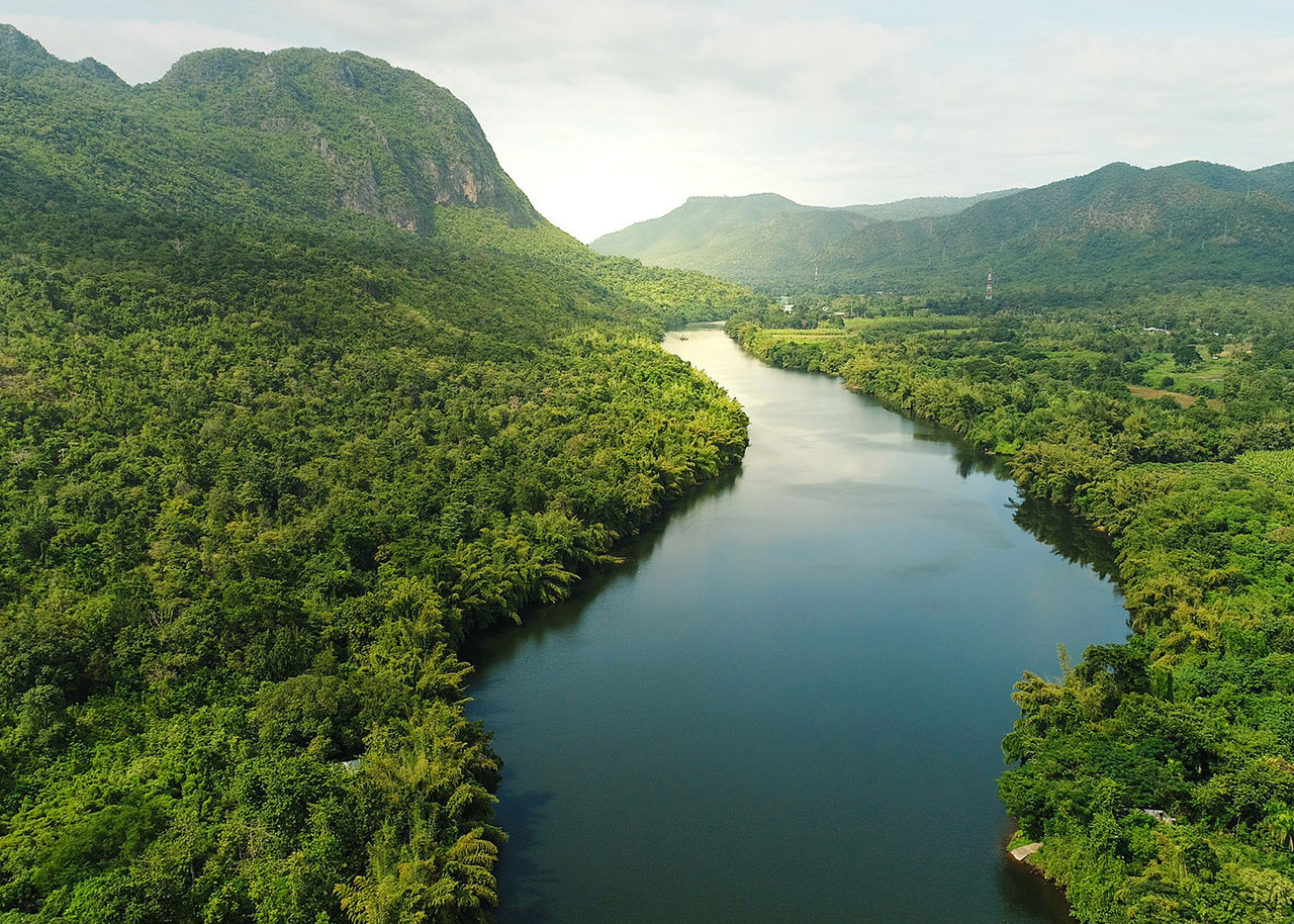 river running through a forest with mountains in background