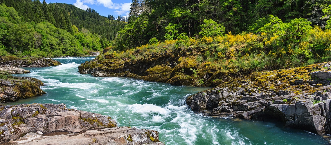 Fast flowing river in a forest with rocky shores