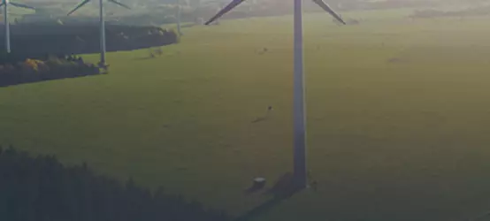 Field with wind turbines
