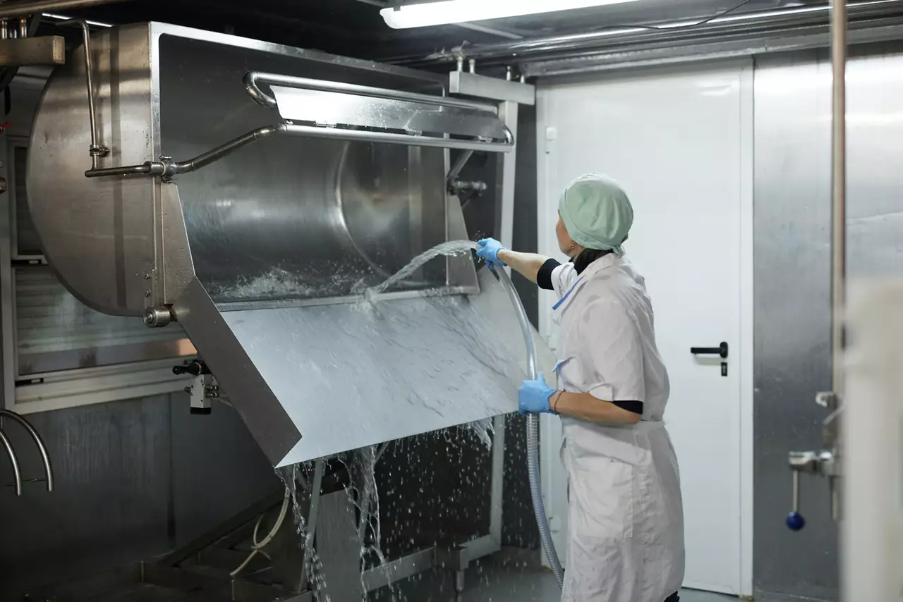 Person washing dairy plant