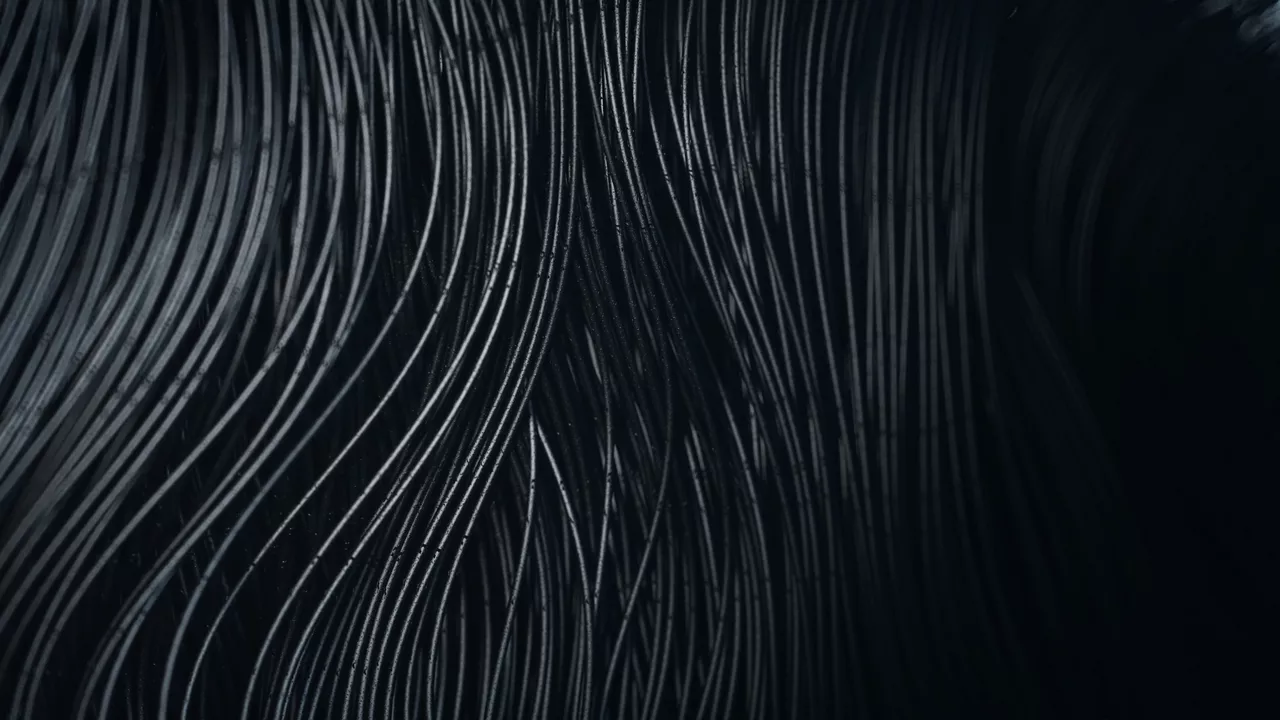 Carbice 的碳纳米管技术 